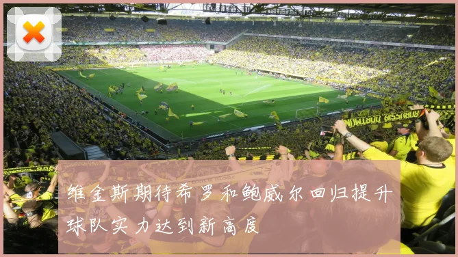 维金斯期待希罗和鲍威尔回归提升球队实力达到新高度