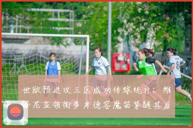 世欧预进攻三区成功传球统计：维蒂尼亚领衔多库德容魔笛紧随其后